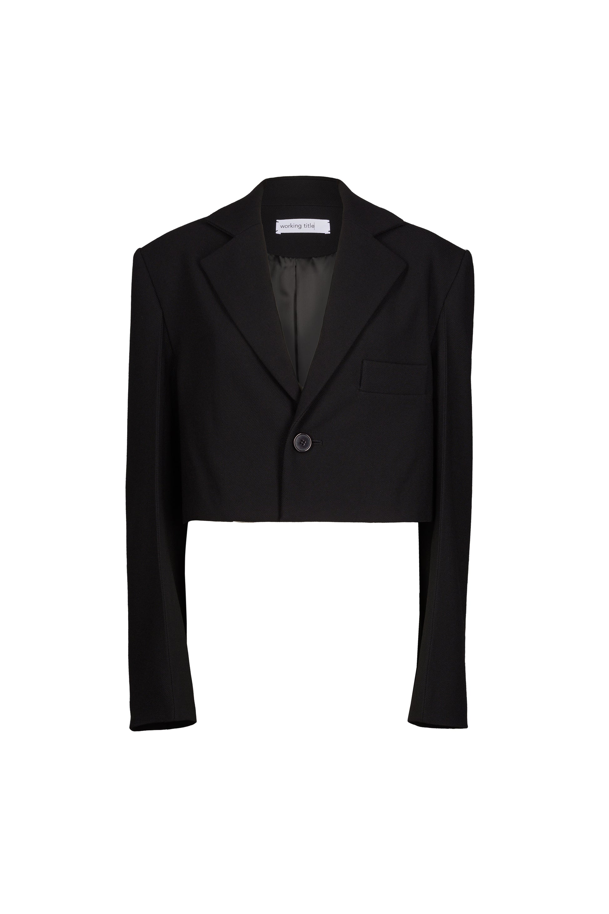 Stylish black cropped unisex blazer with a single-button closure and classic lapels, offering a modern twist on formal attire.